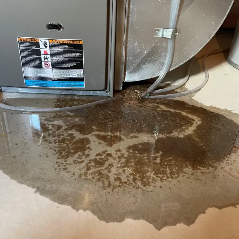 Appliance Leak Cleanup in Fort Morgan, CO
