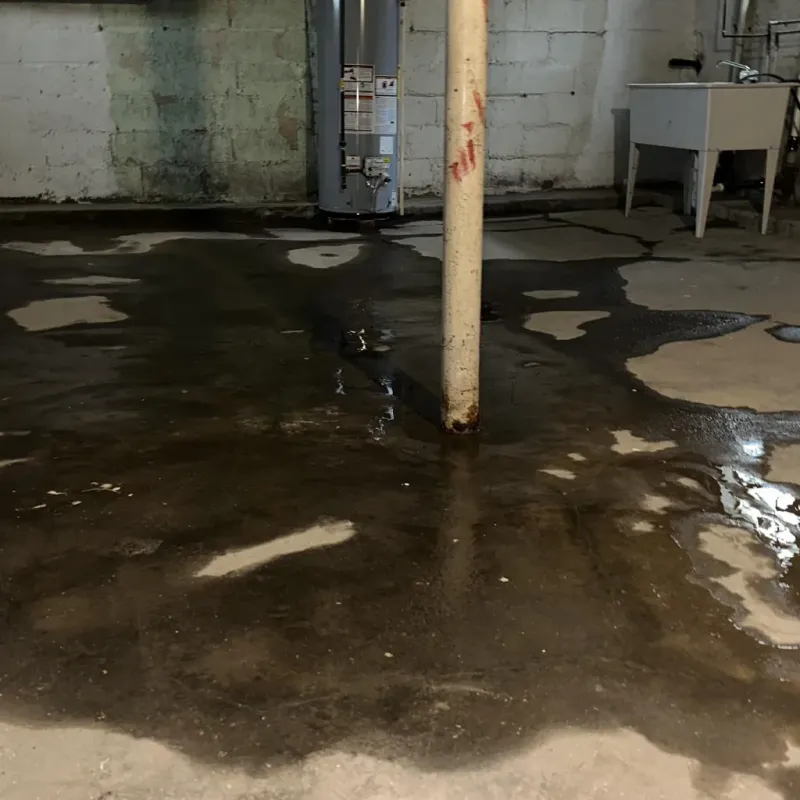 Emergency Water Extraction And Removal in Fort Morgan, CO